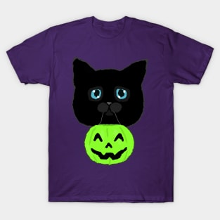 Treats for Kitty? (Green) T-Shirt